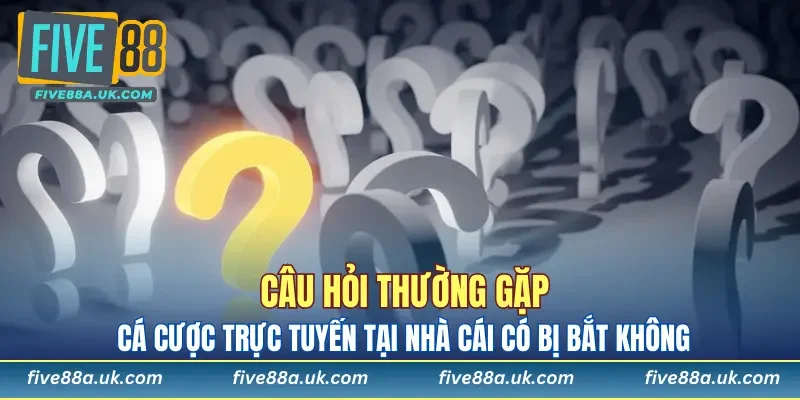Câu Hỏi Thường Gặp 7 Liệu hội viên nhà cái tham gia cá cược có bị bắt không