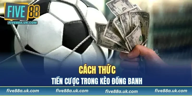 Kèo Đồng Banh - Chia Sẻ Kinh Nghiệm Chơi Kèo Tại FIVE88 6 Tính tiền cược kèo sao cho dễ hiểu