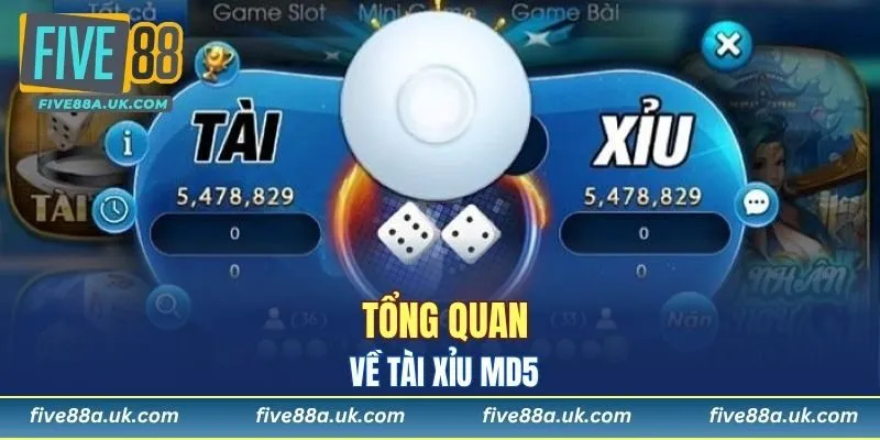 Tổng quan về tài xỉu MD5